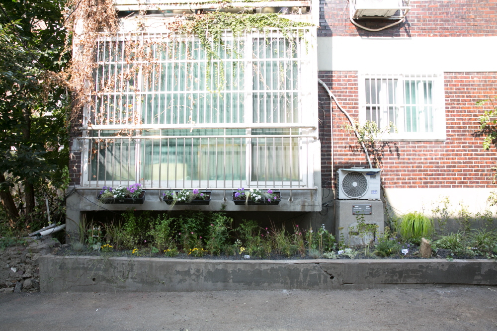 크기변환__EDA3895