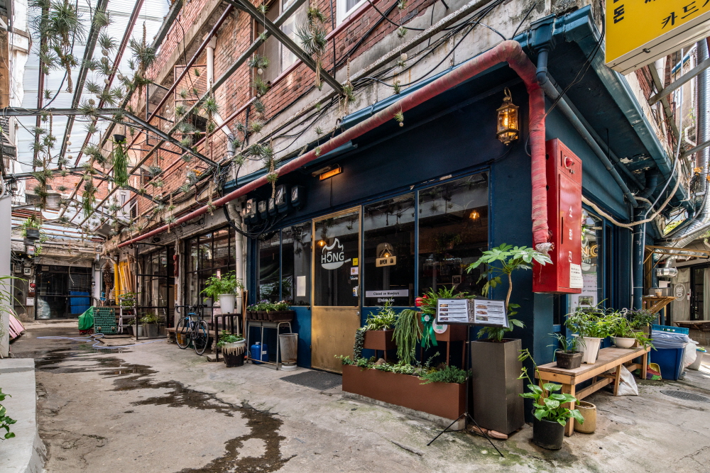 크기변환_BLU00284