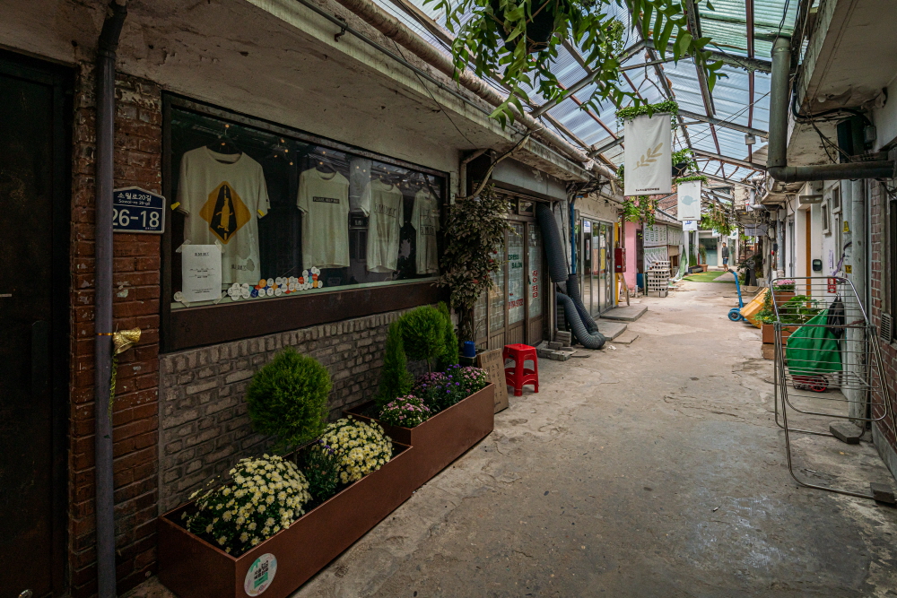 크기변환_BLU09303