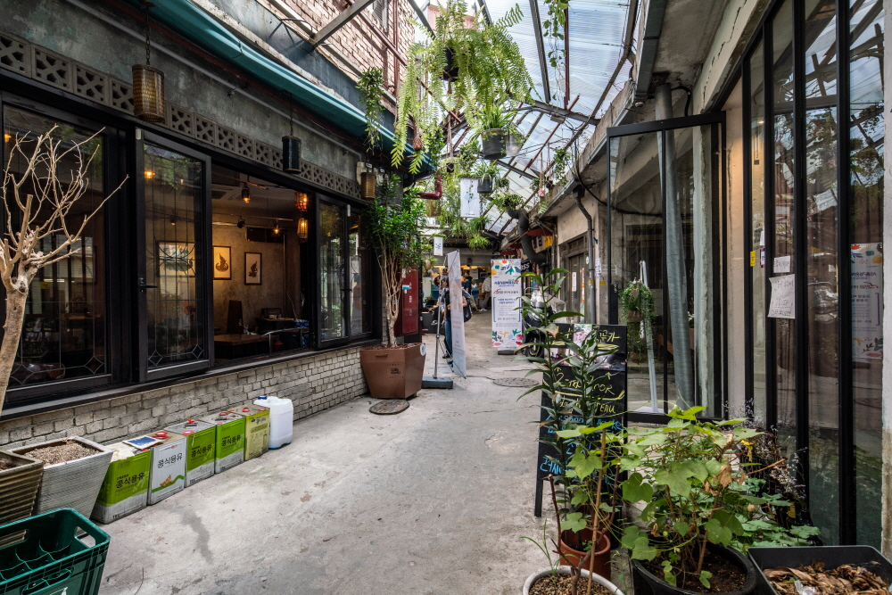 크기변환_BLU00294