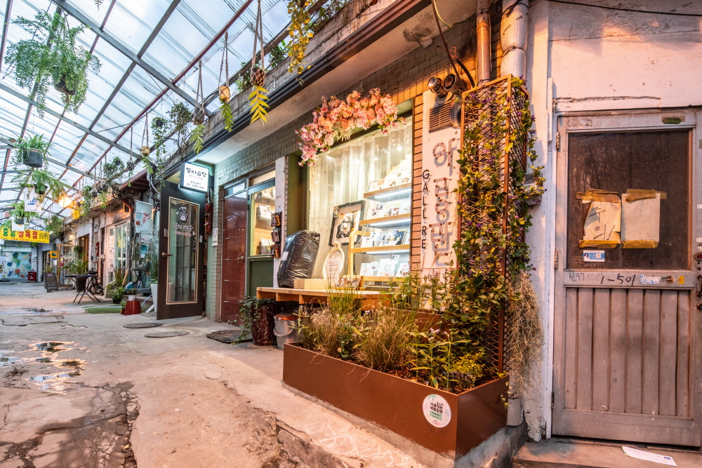 크기변환_BLU00819