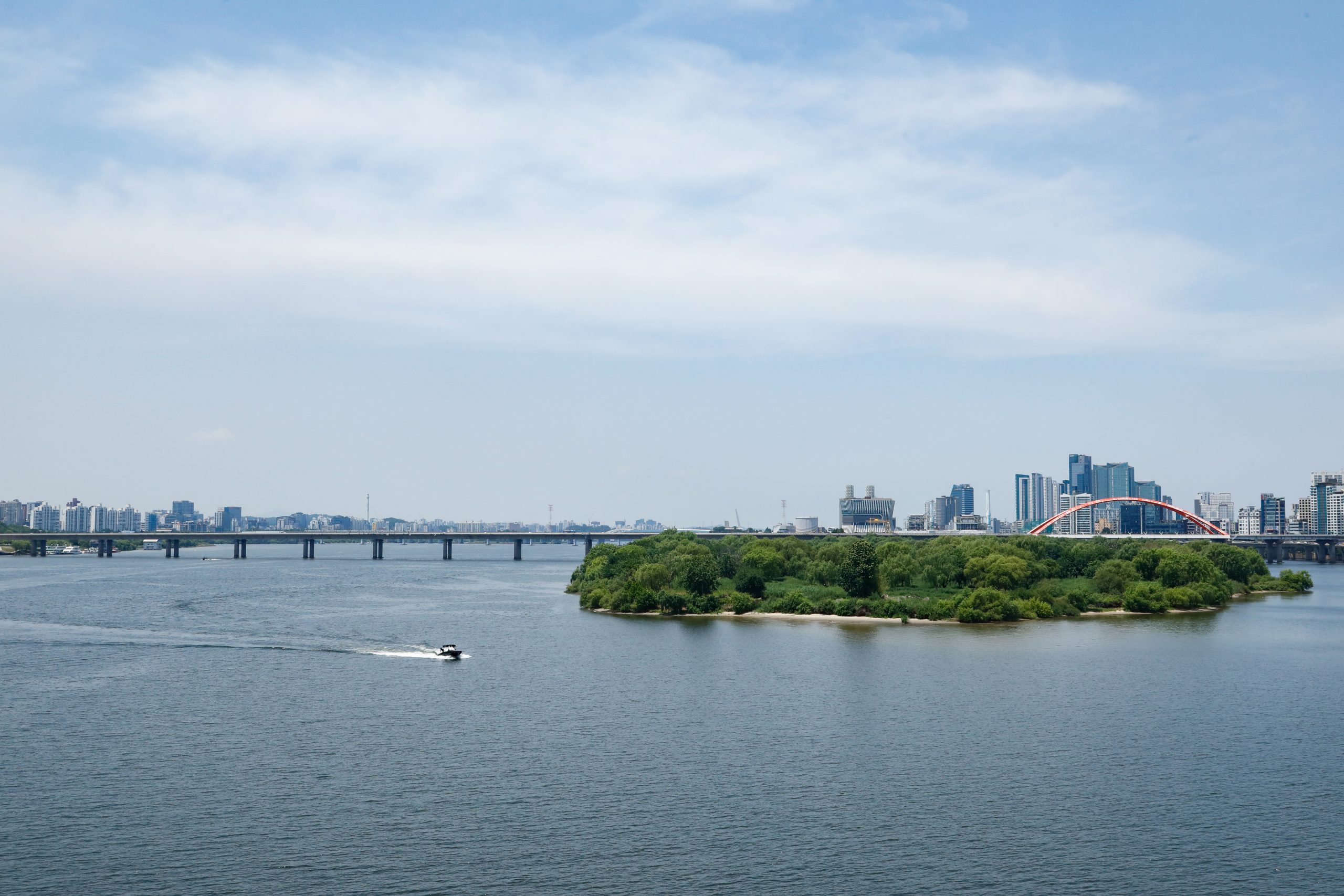220621 마포대교, 밤섬 정기촬영_밤섬_011