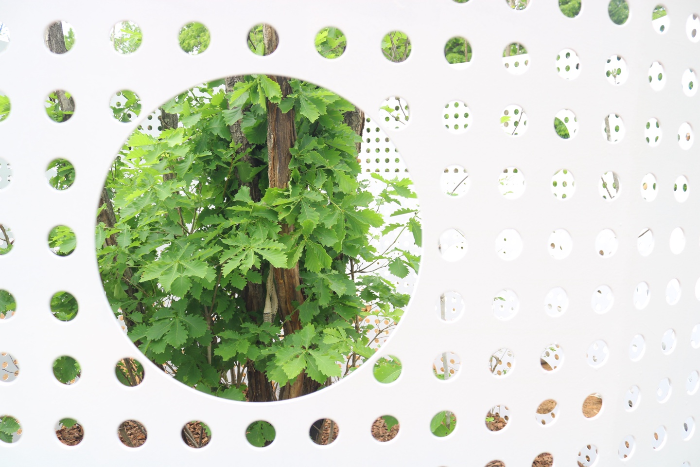 KakaoTalk_20250521_083234270_04