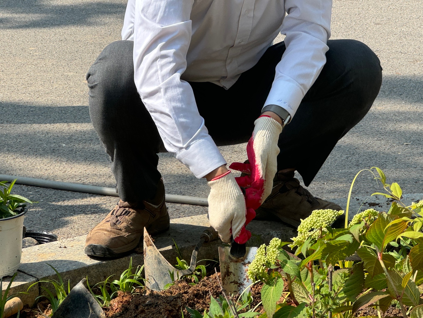 KakaoTalk_20250507_080852108_02