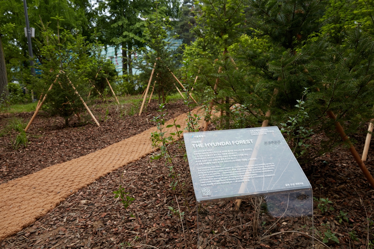 KakaoTalk_20250528_150757933_01