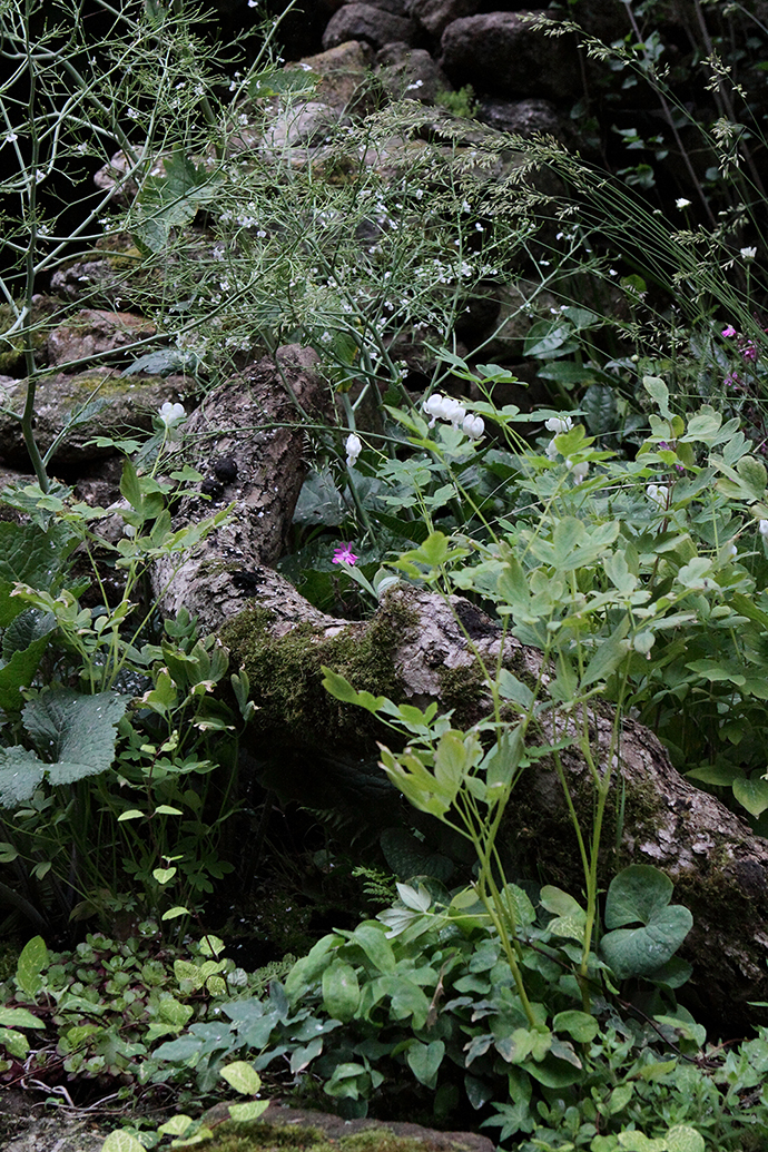 황지해 작품사진