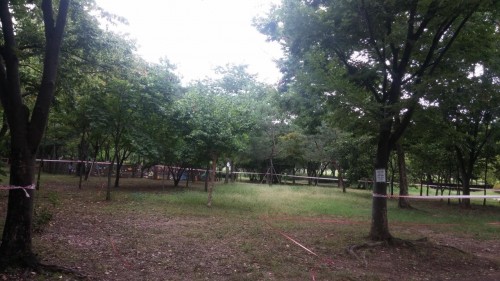 a20Ud0151776adbswha7i_krii6s