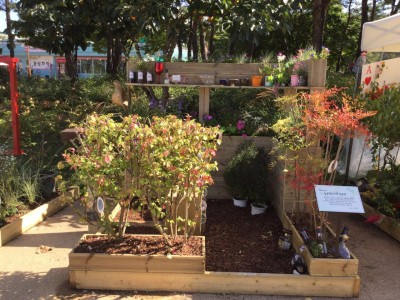 bh4Ud015m8o0oqlpp6av_66fgjs