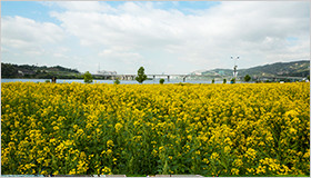 여의도 한강공원