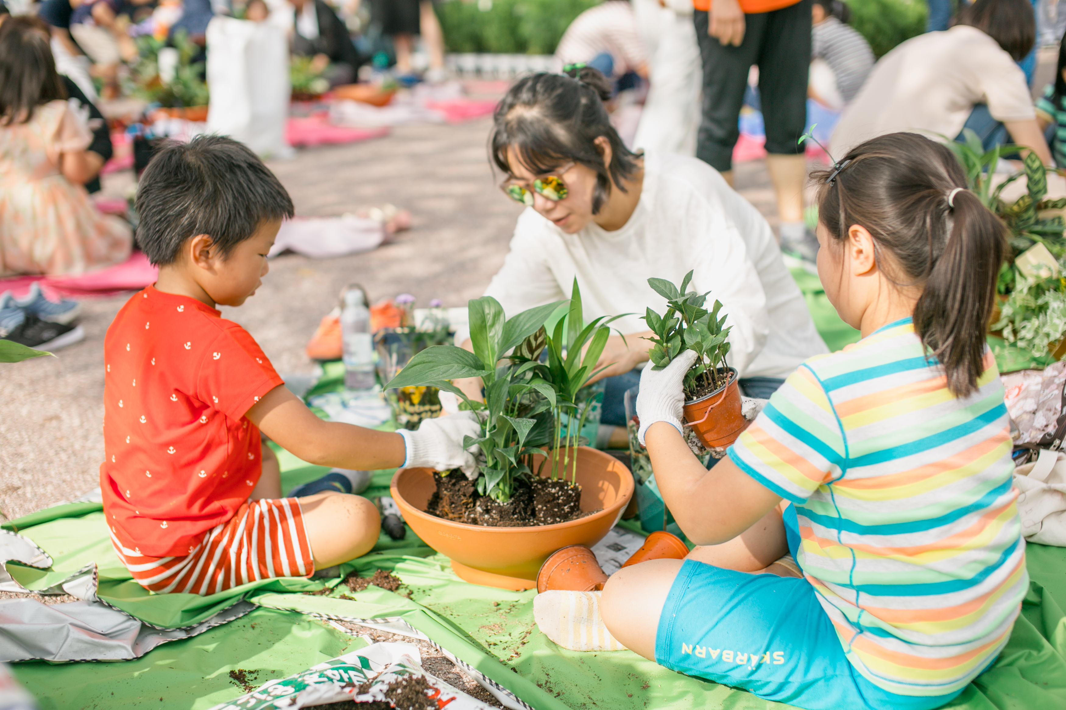 2017년 가족화분만들기 전경