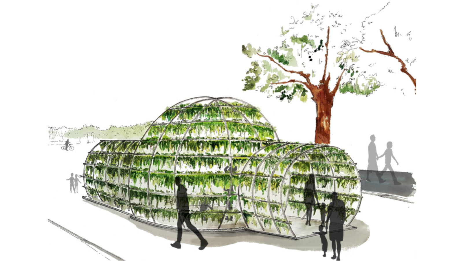 썸네일_아모리갈롱