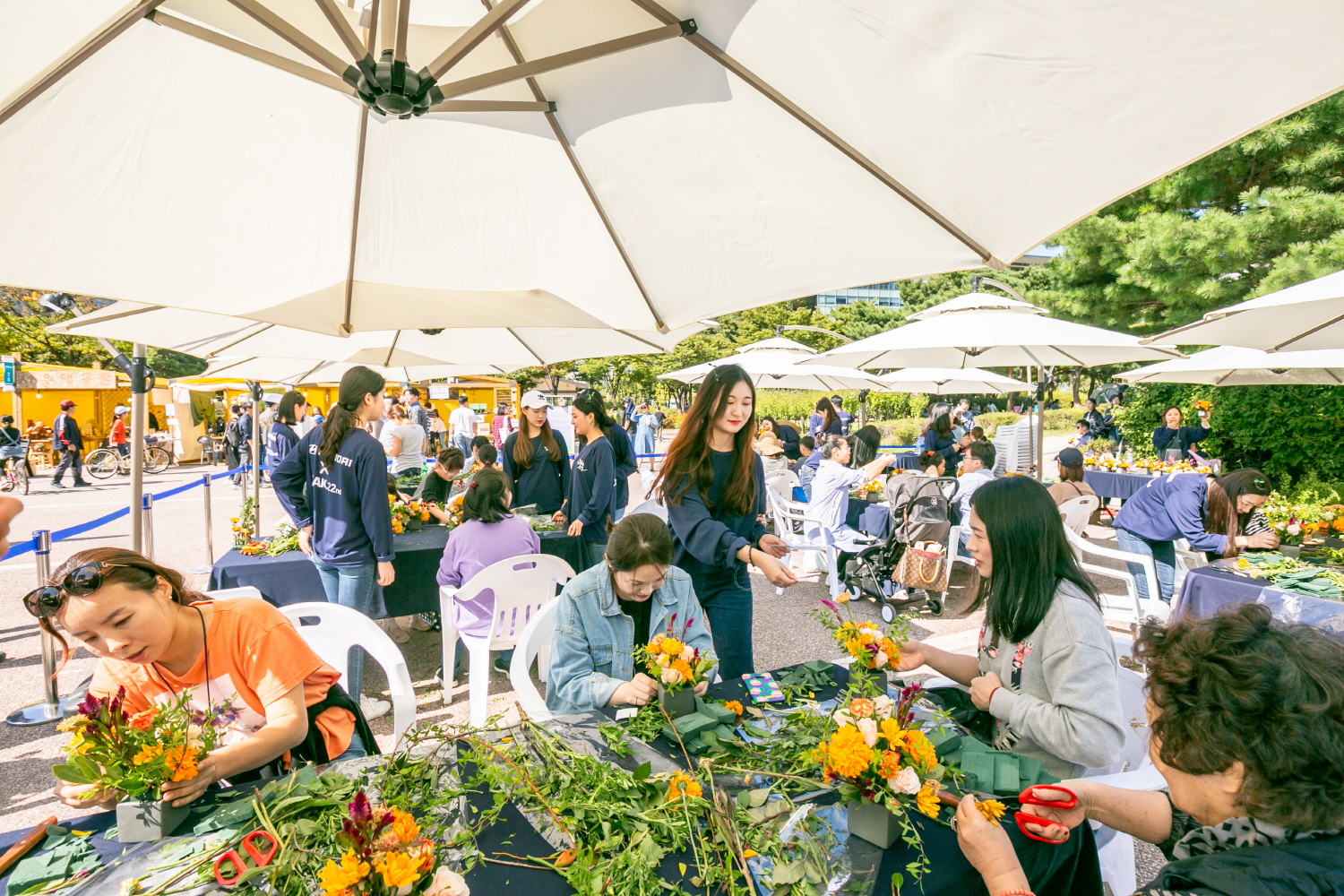 크기변환_20181003-IMG_1126