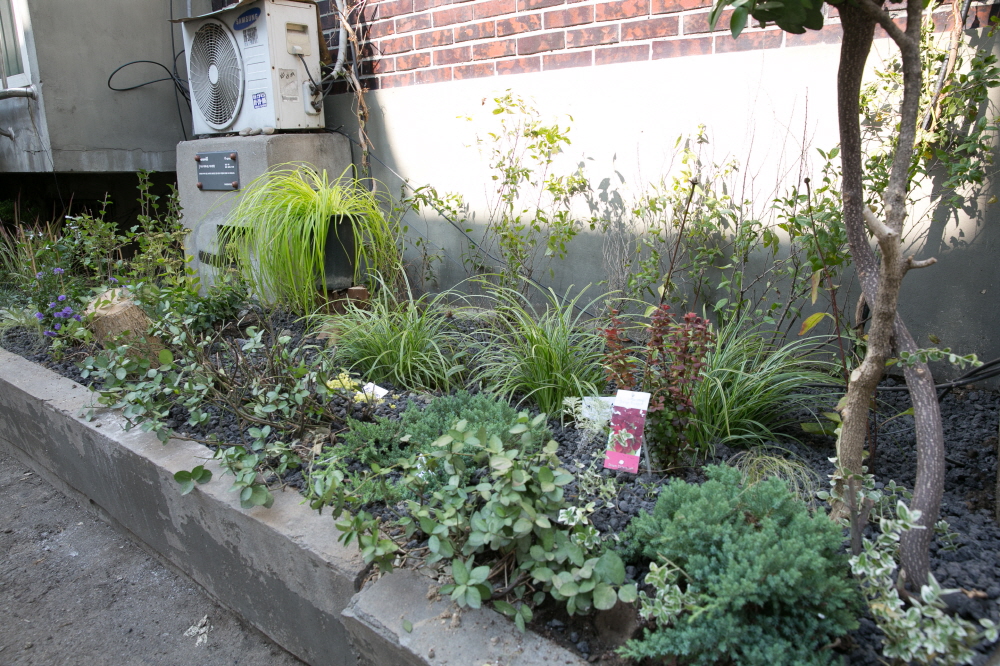 크기변환__EDA3888