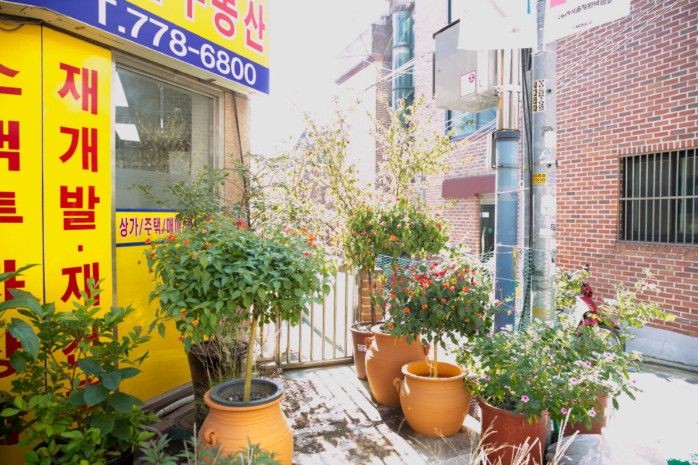 크기변환__EDA3506