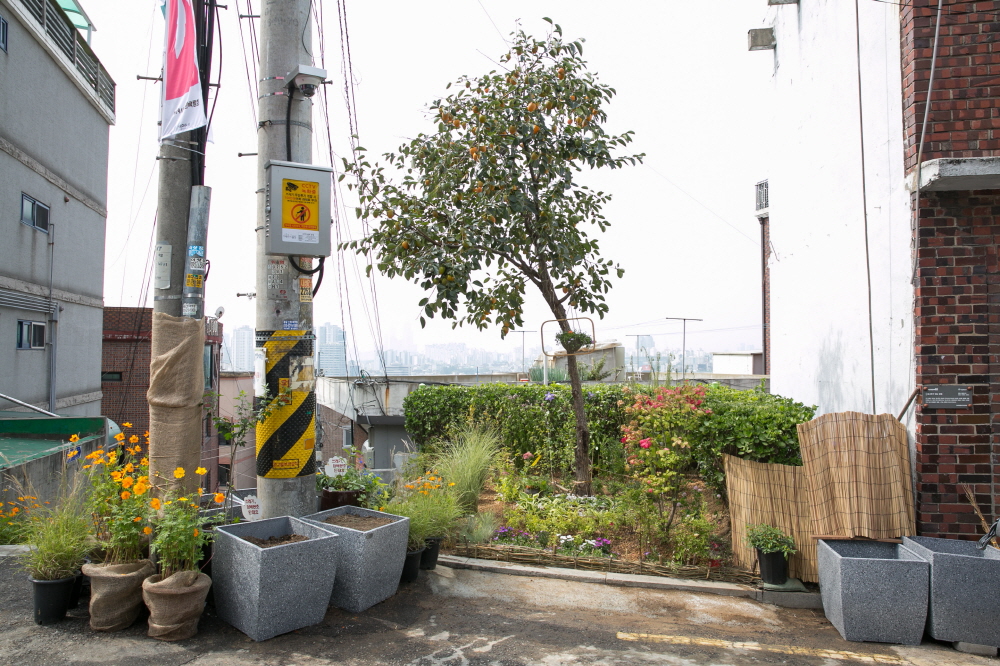 크기변환__EDA4545