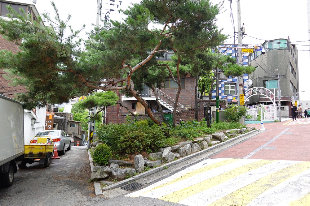 학생정원01_우리 사이는 이미, 우리 사이의 의미(조성전)