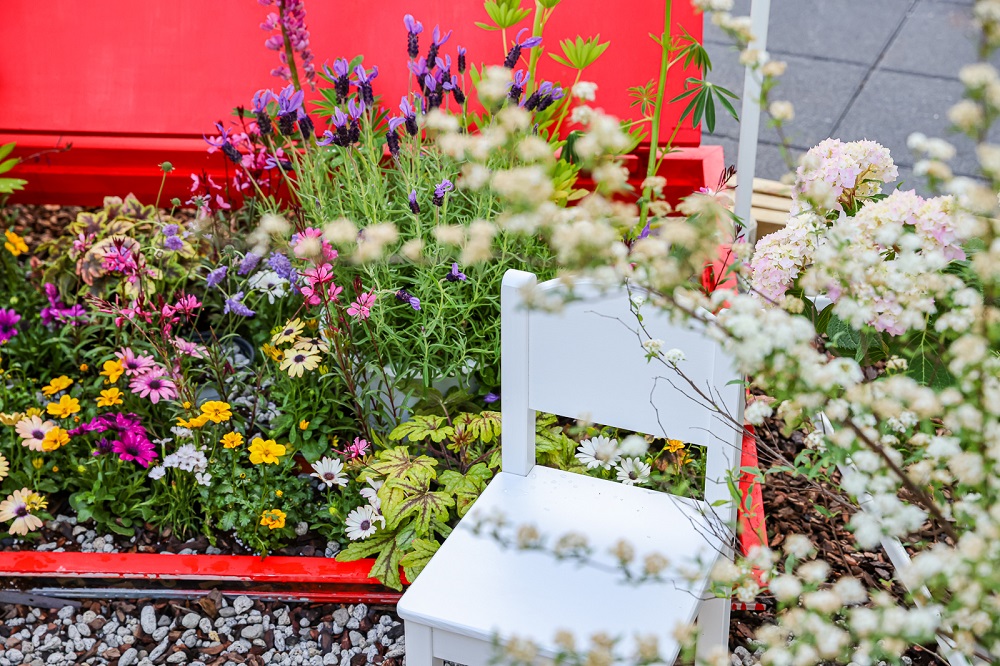 4.활짝원02(금상)