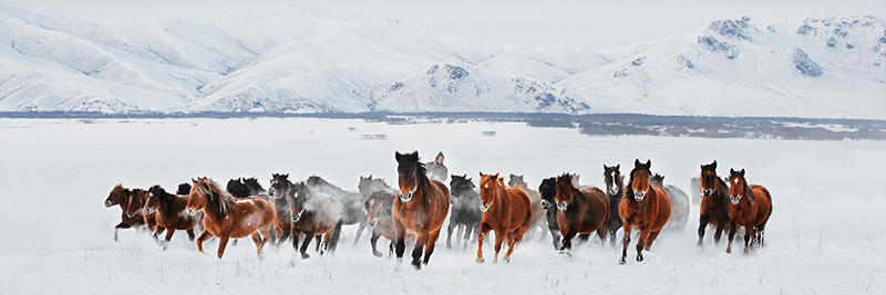 네이멍구자치구의 겨울5