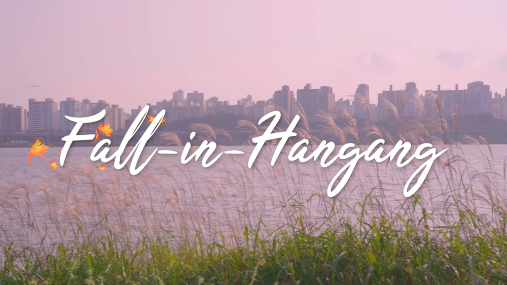 2021 한강몽땅 축제 홍보영상