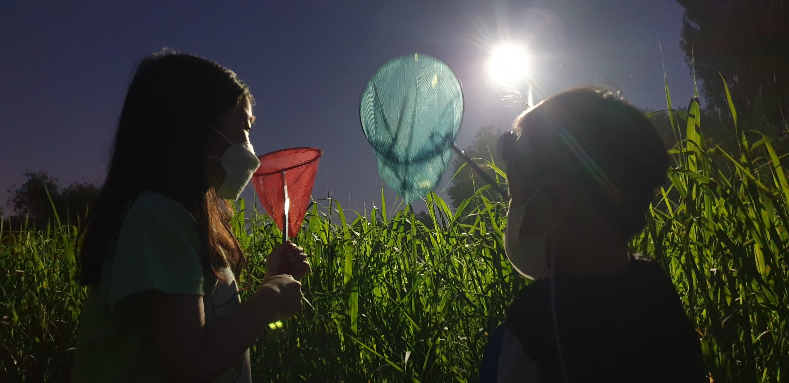 한강여름생태교실