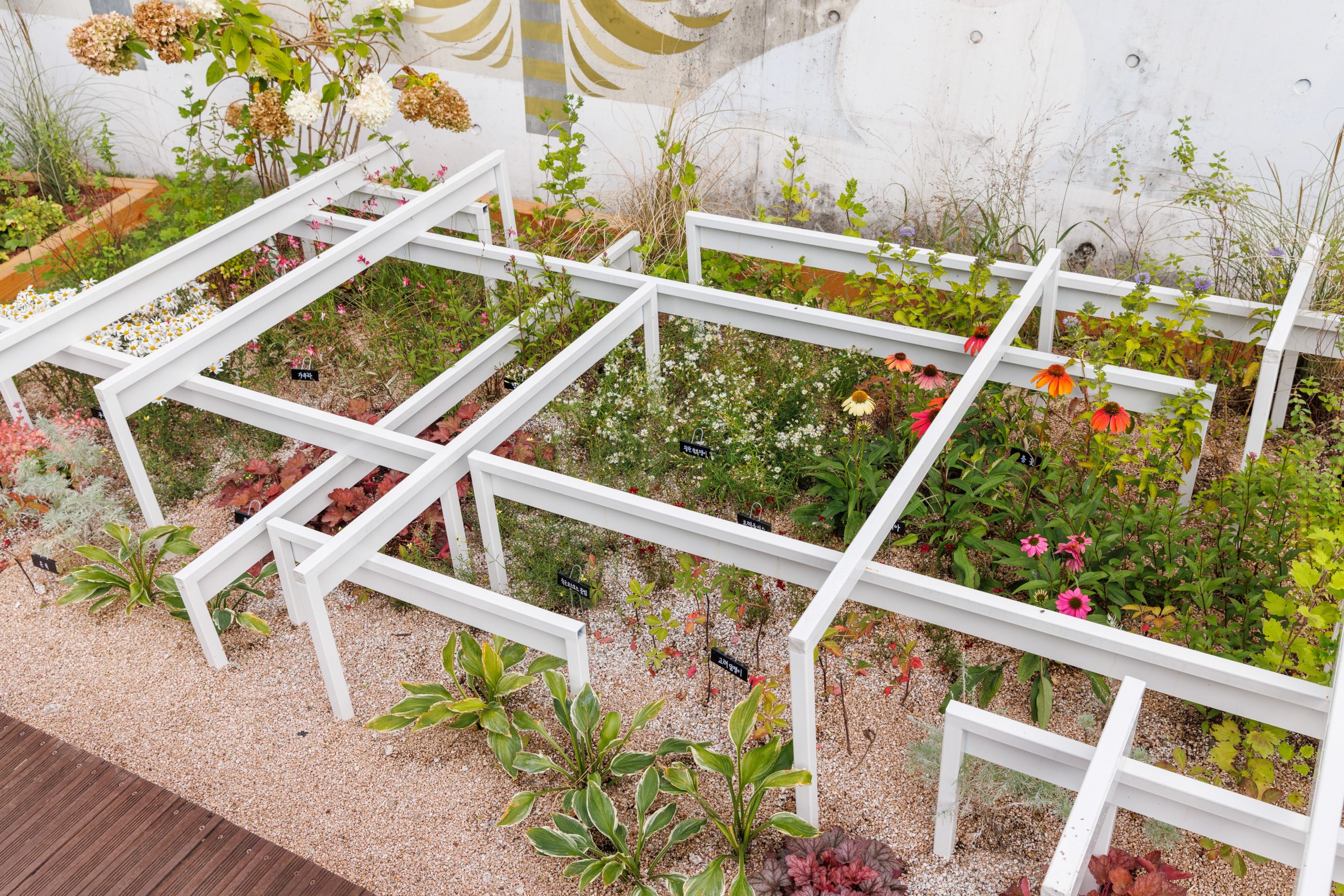 3. [은상] Blooming Dream