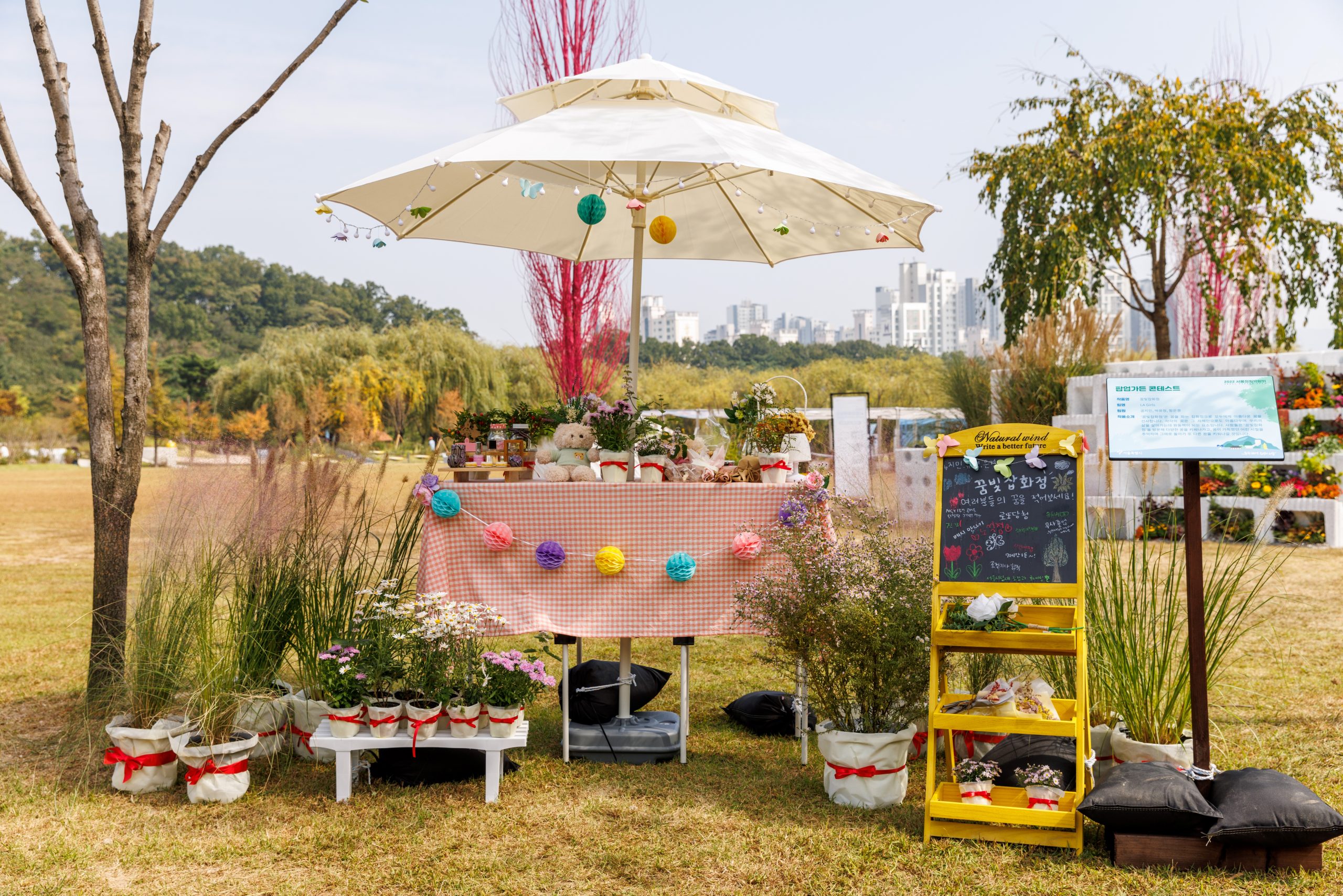 5. [동상] 꿈빛잡화점