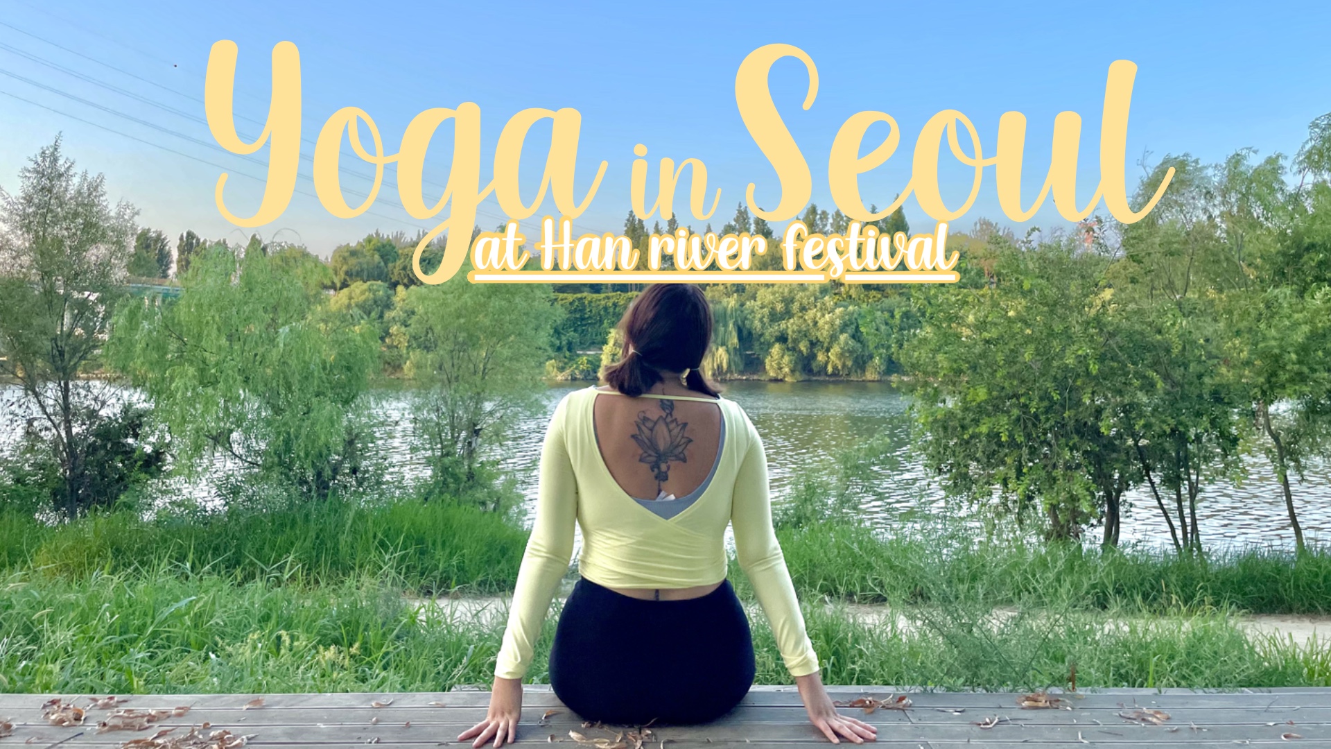 Life in Korea Diaries