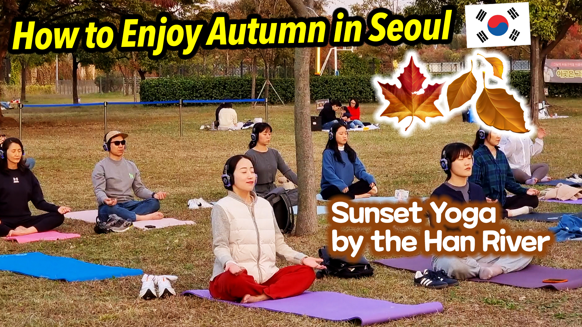 서울에서 가을 정취 즐기기! KR 한강 페스티벌 가을