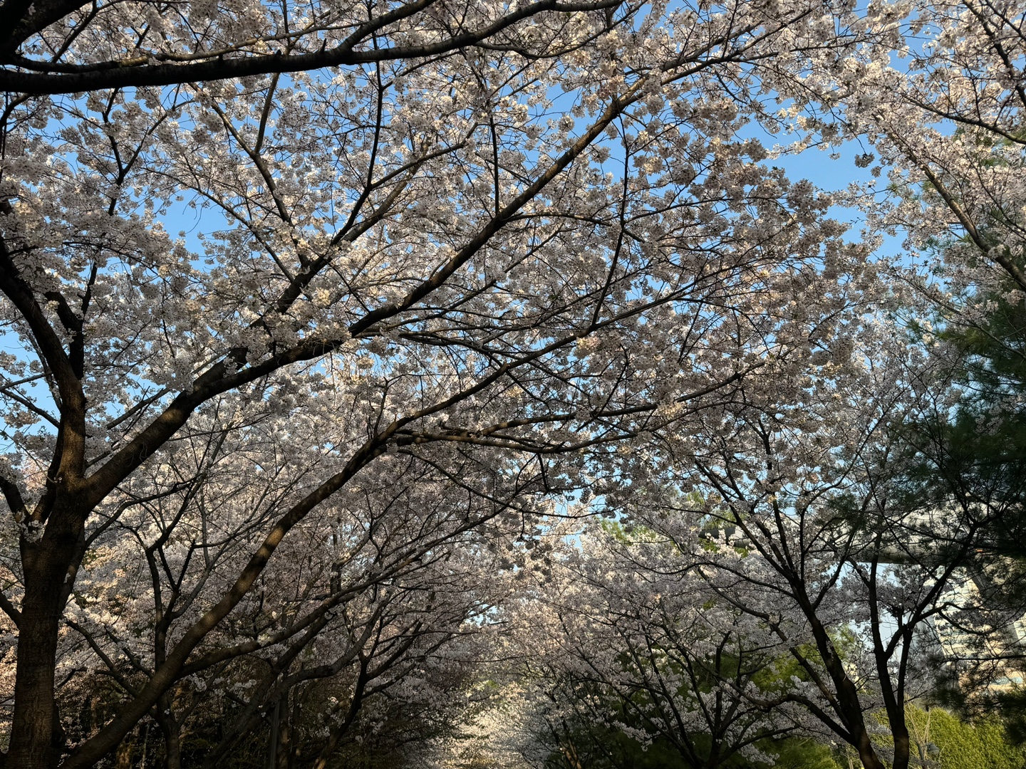 KakaoTalk_20250414_092735992_02