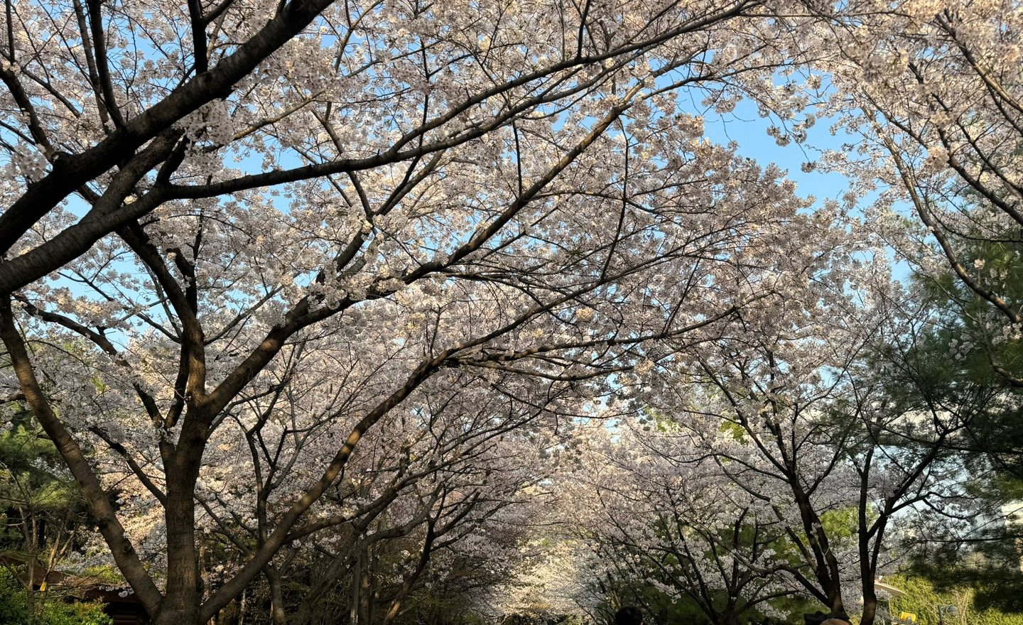 KakaoTalk_20250414_092735992_03