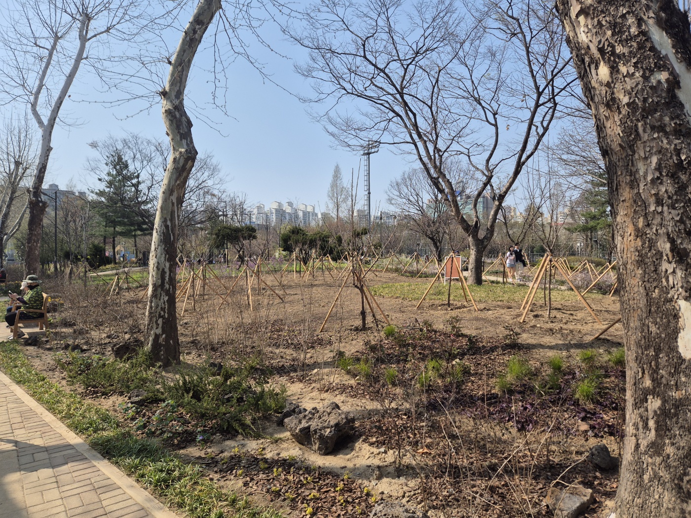 KakaoTalk_20250414_093446802_09