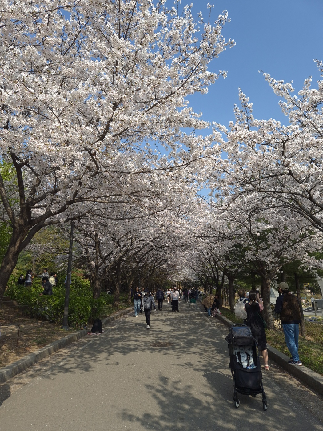 KakaoTalk_20250414_094003422_12