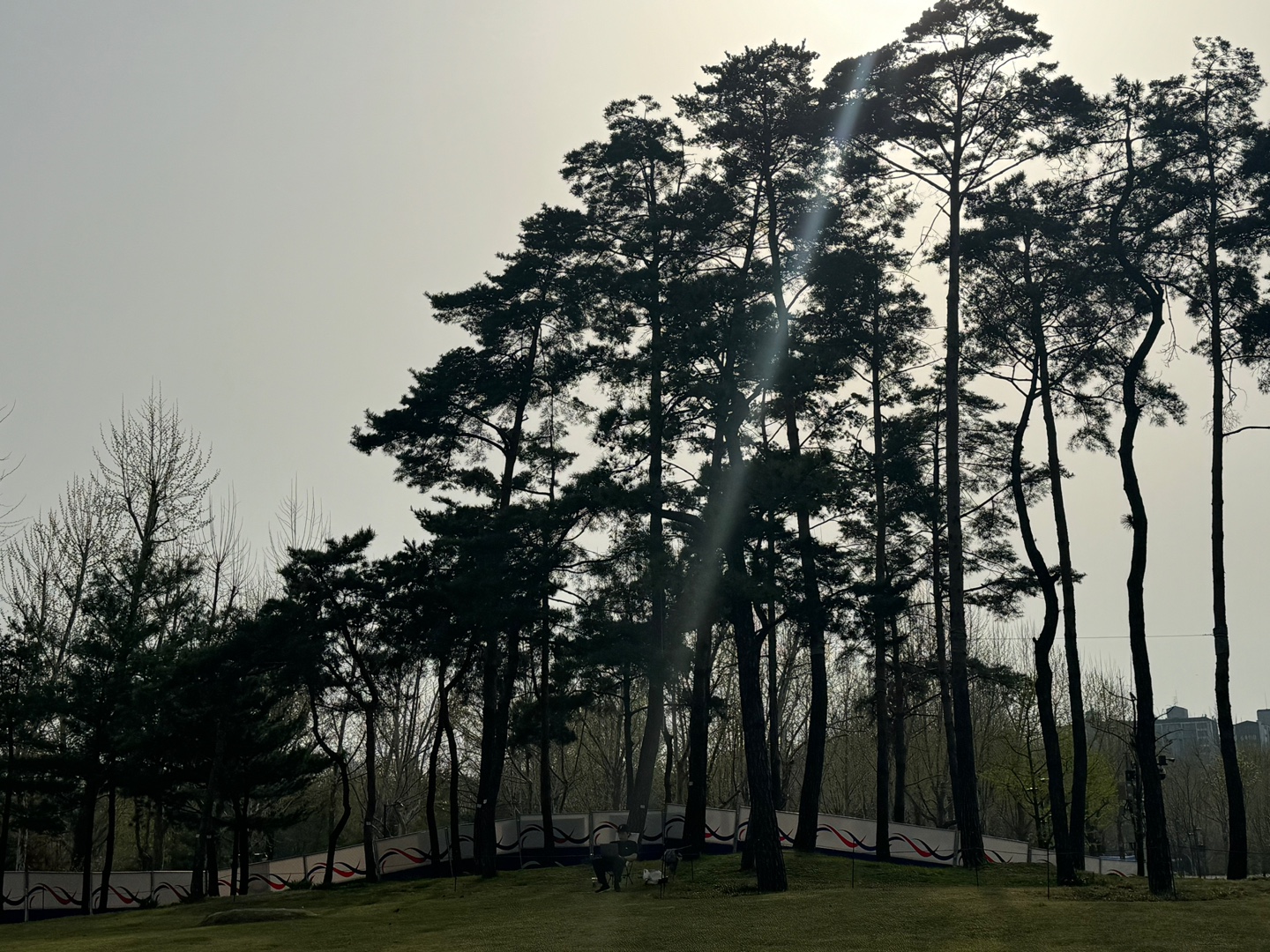 KakaoTalk_20250421_085537171_14