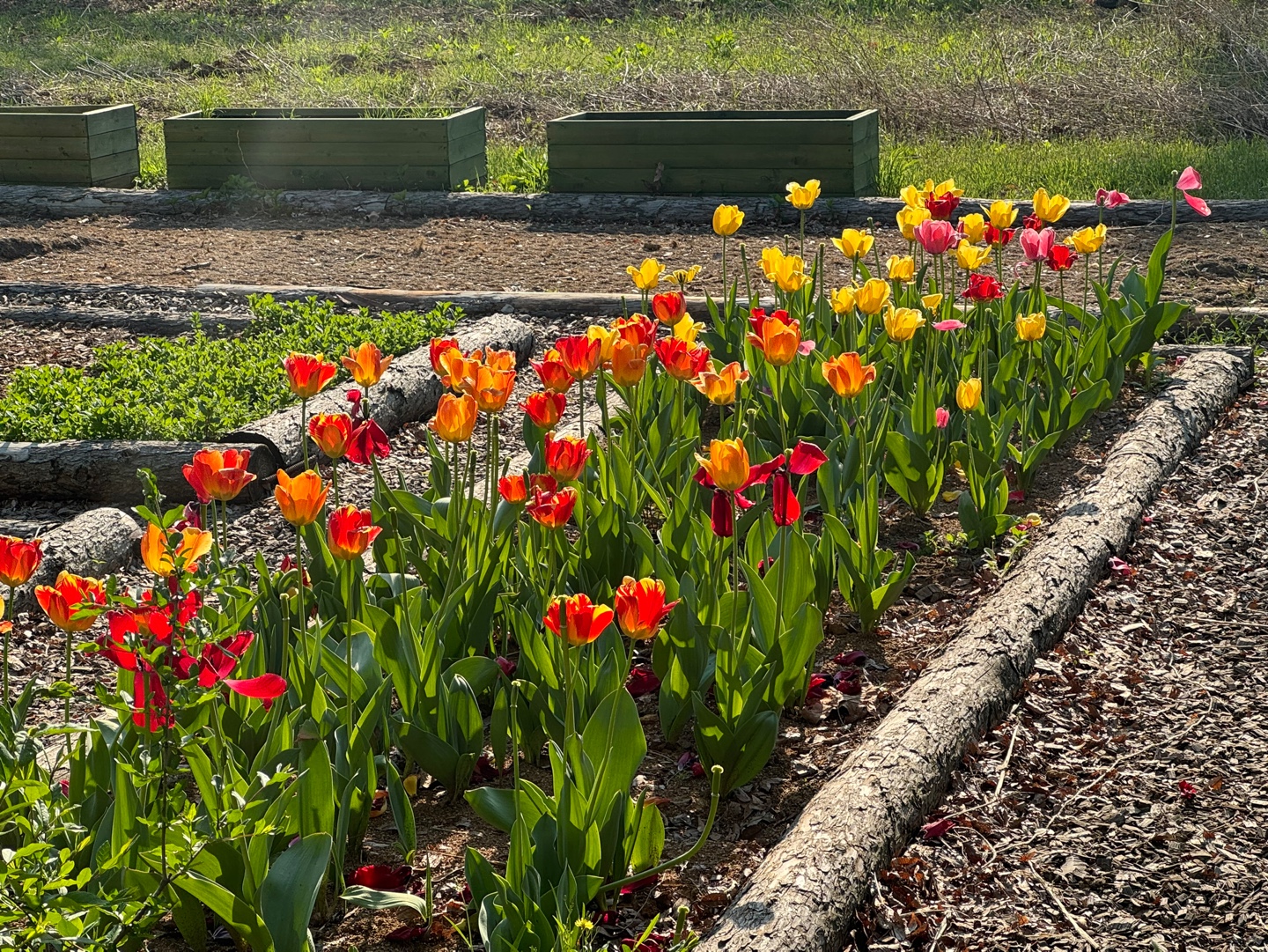 KakaoTalk_20250428_081414956_12