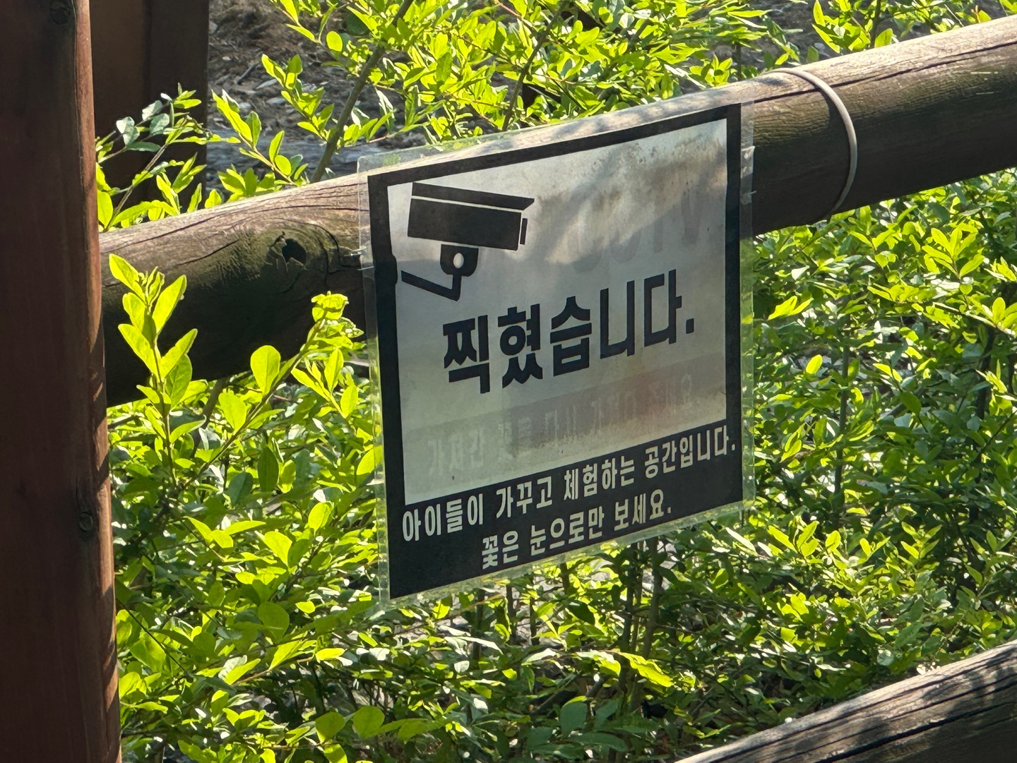 KakaoTalk_20250428_081414956_13