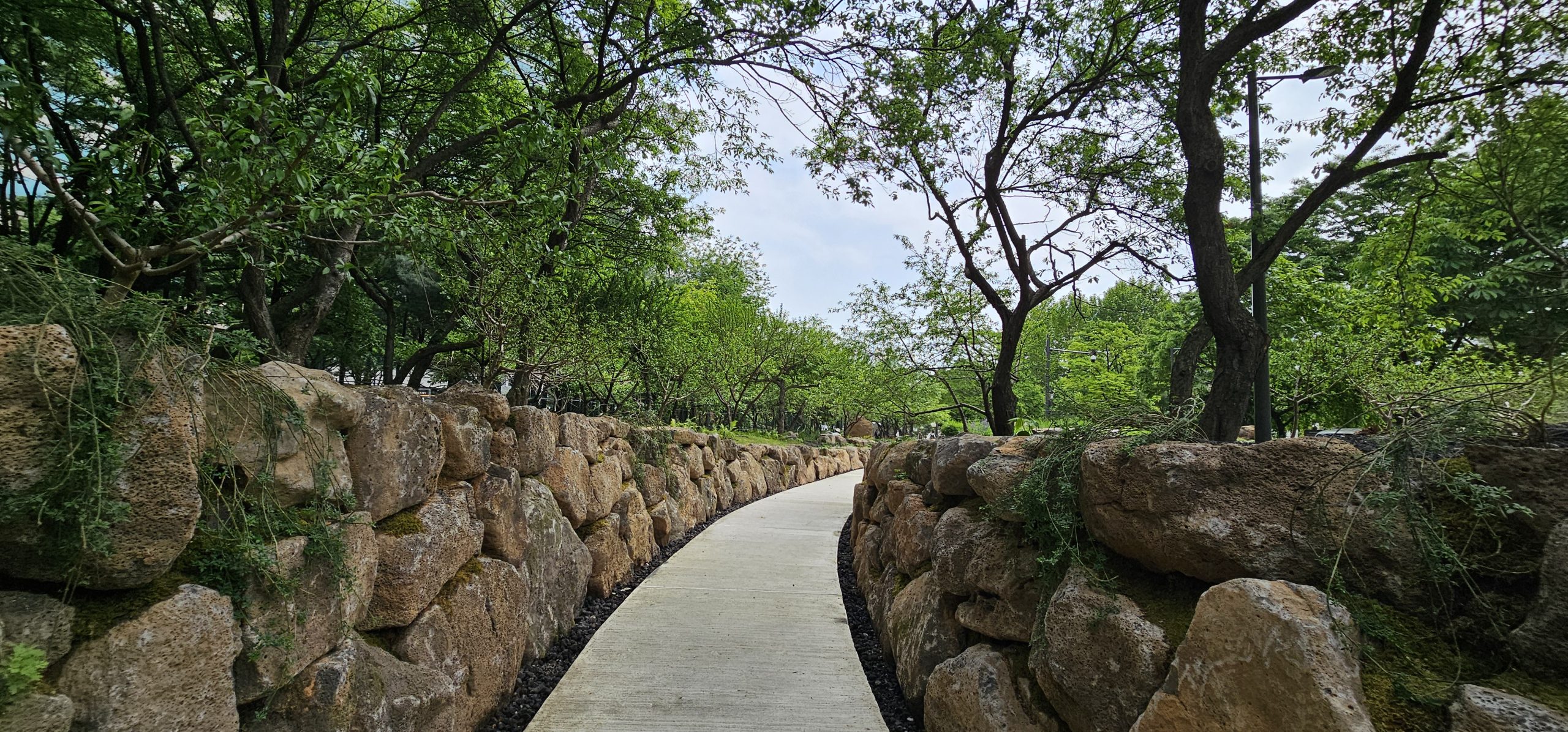 KakaoTalk_20250521_195817355