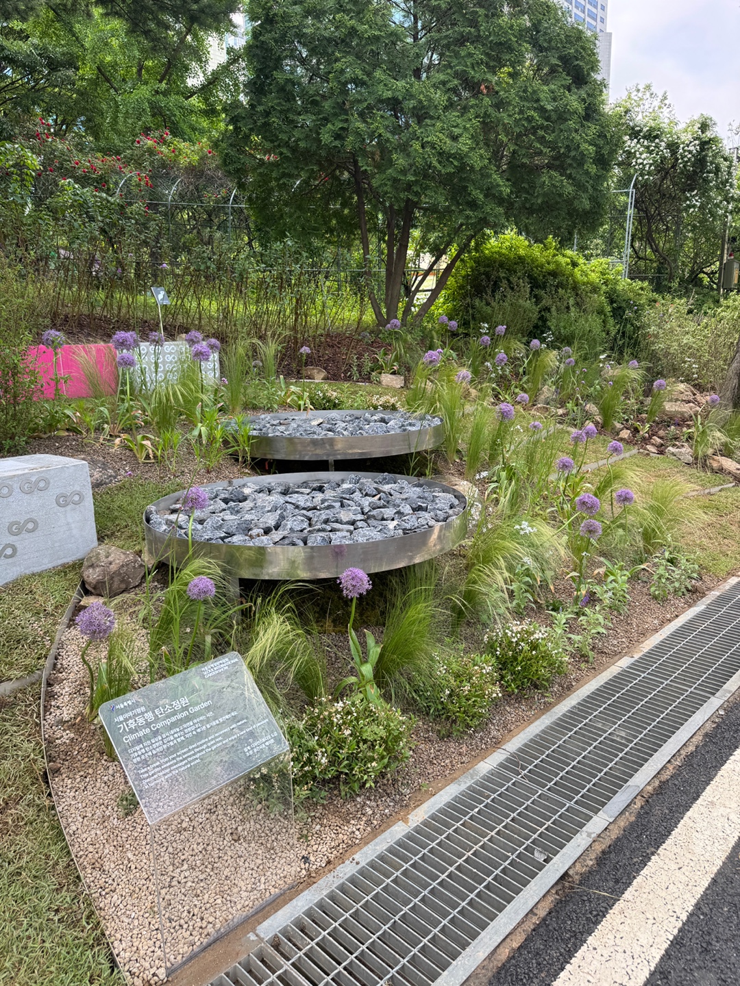 기후동행 탄소정원1