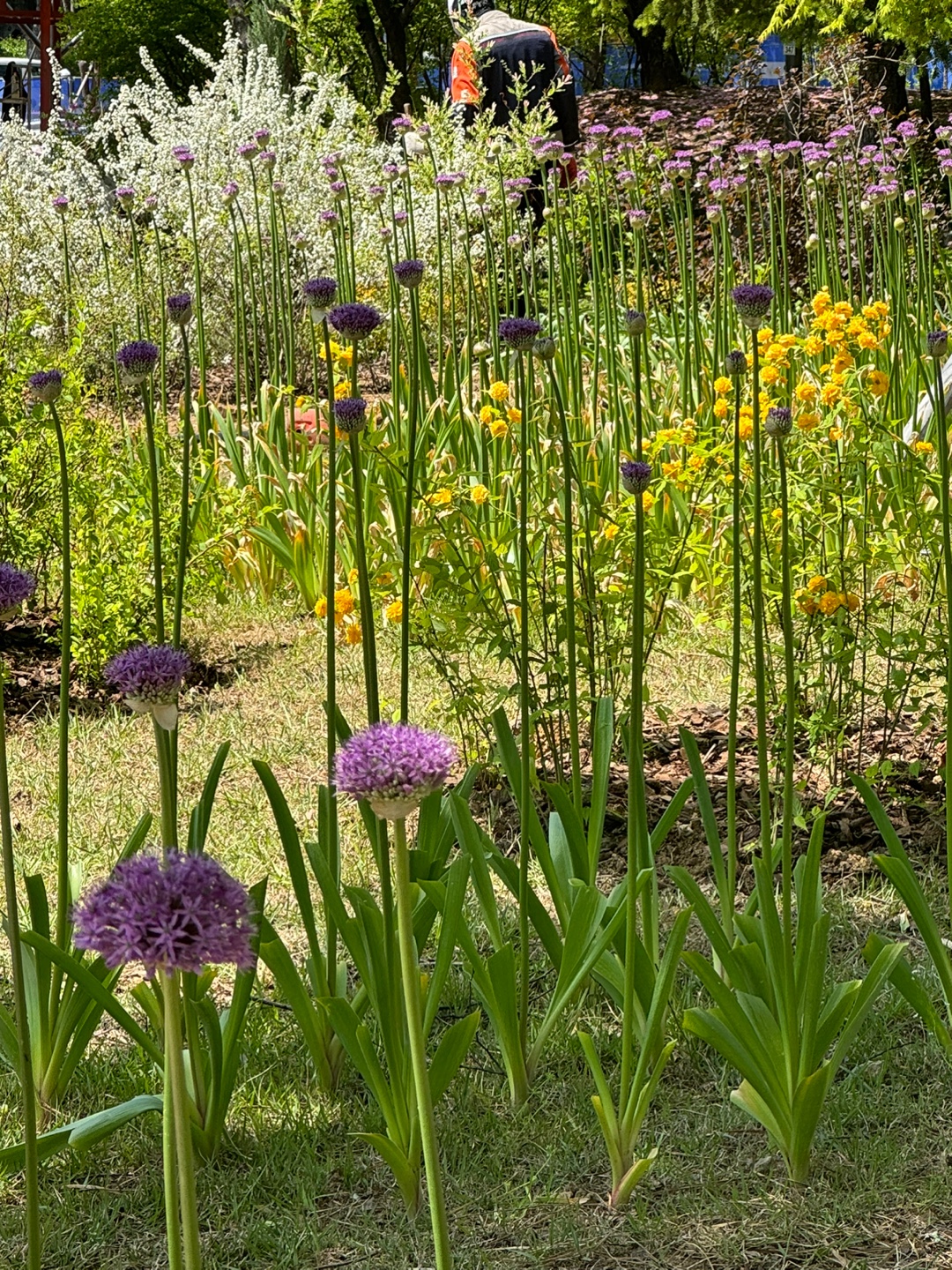 KakaoTalk_20250501_225243637_07