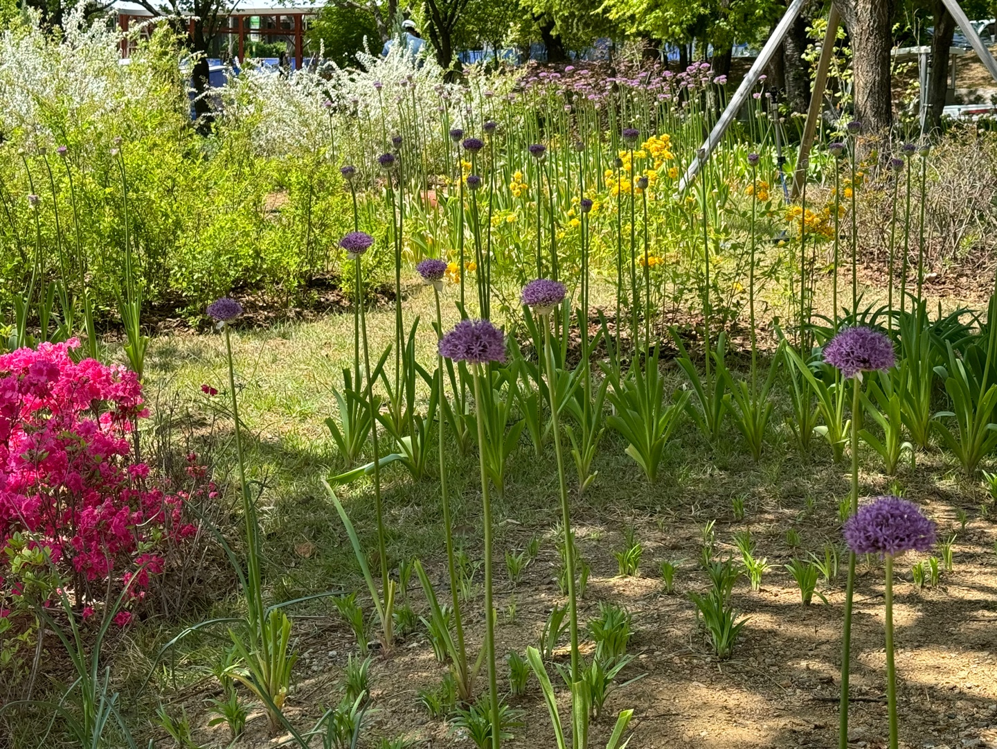 KakaoTalk_20250501_225243637_08