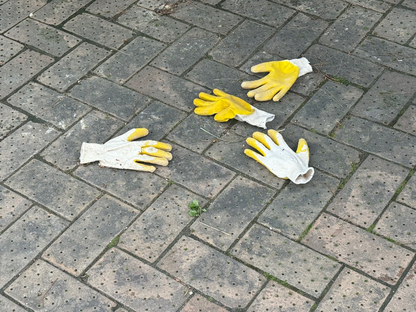 KakaoTalk_20250514_184603509