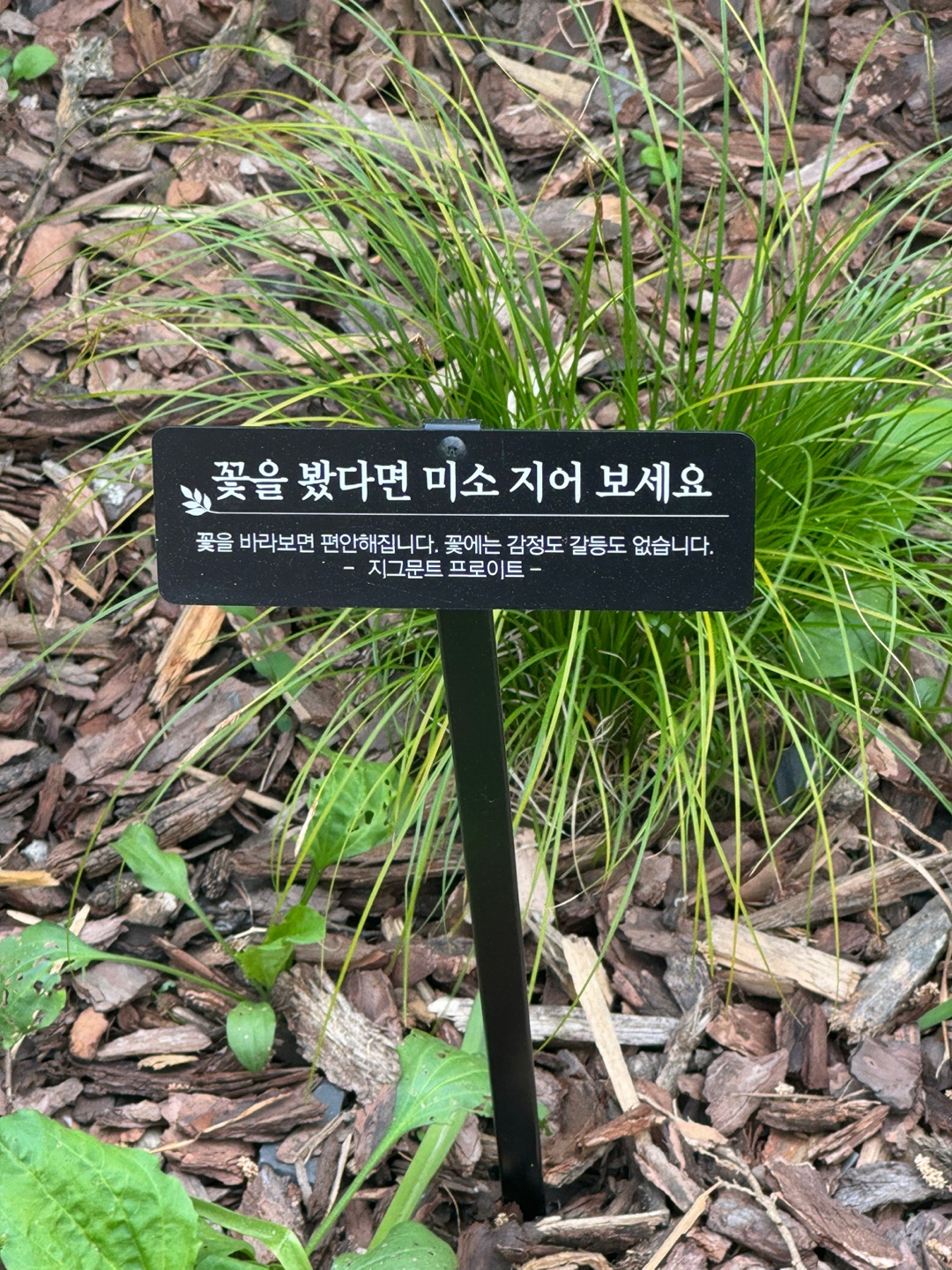 KakaoTalk_20250514_184611595