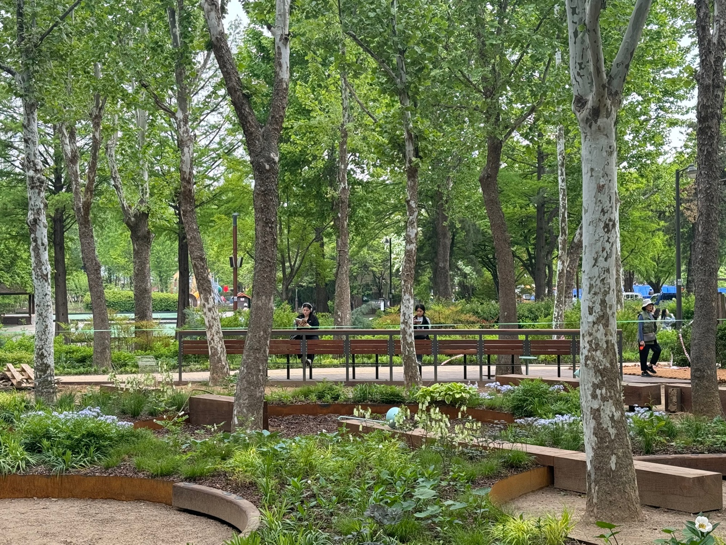 KakaoTalk_20250514_184703482