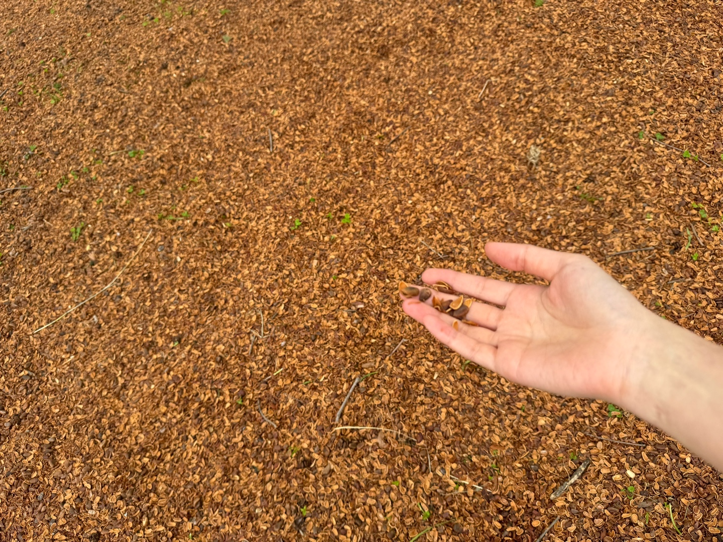 KakaoTalk_20250519_204852957_04