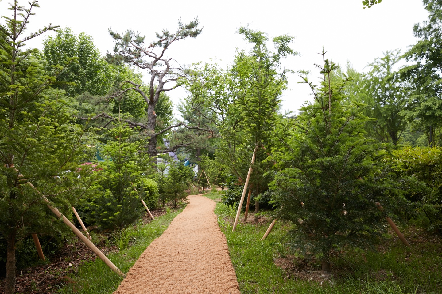 KakaoTalk_20250528_150757933_03