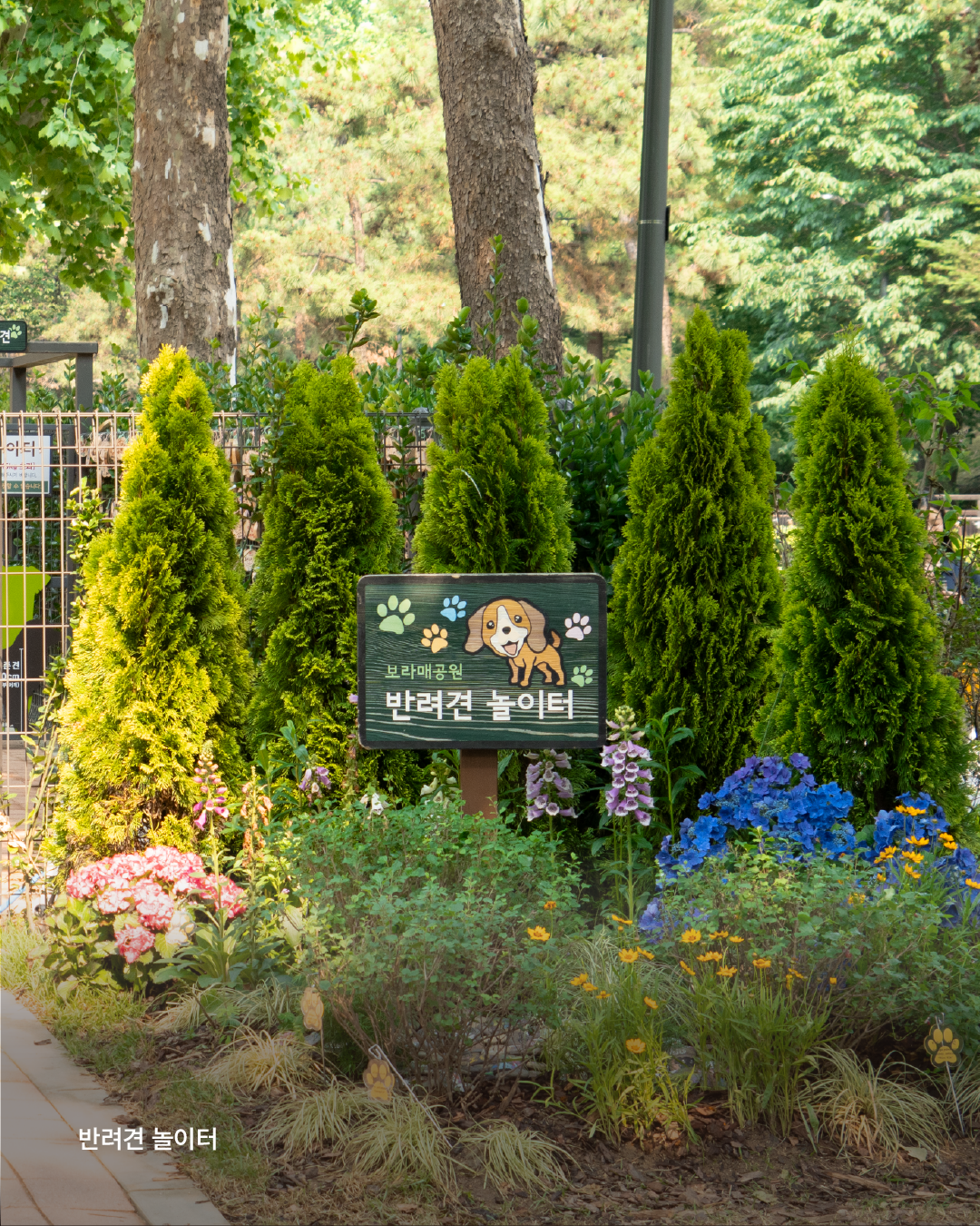 카드뉴스_반려동물 (5)