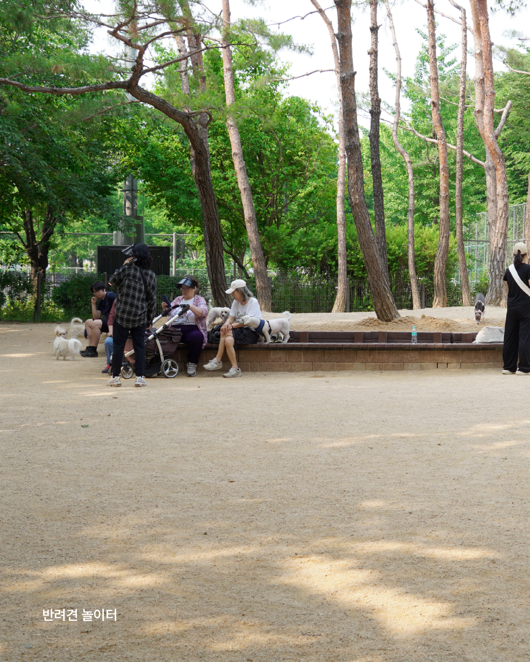 카드뉴스_반려동물 (6)