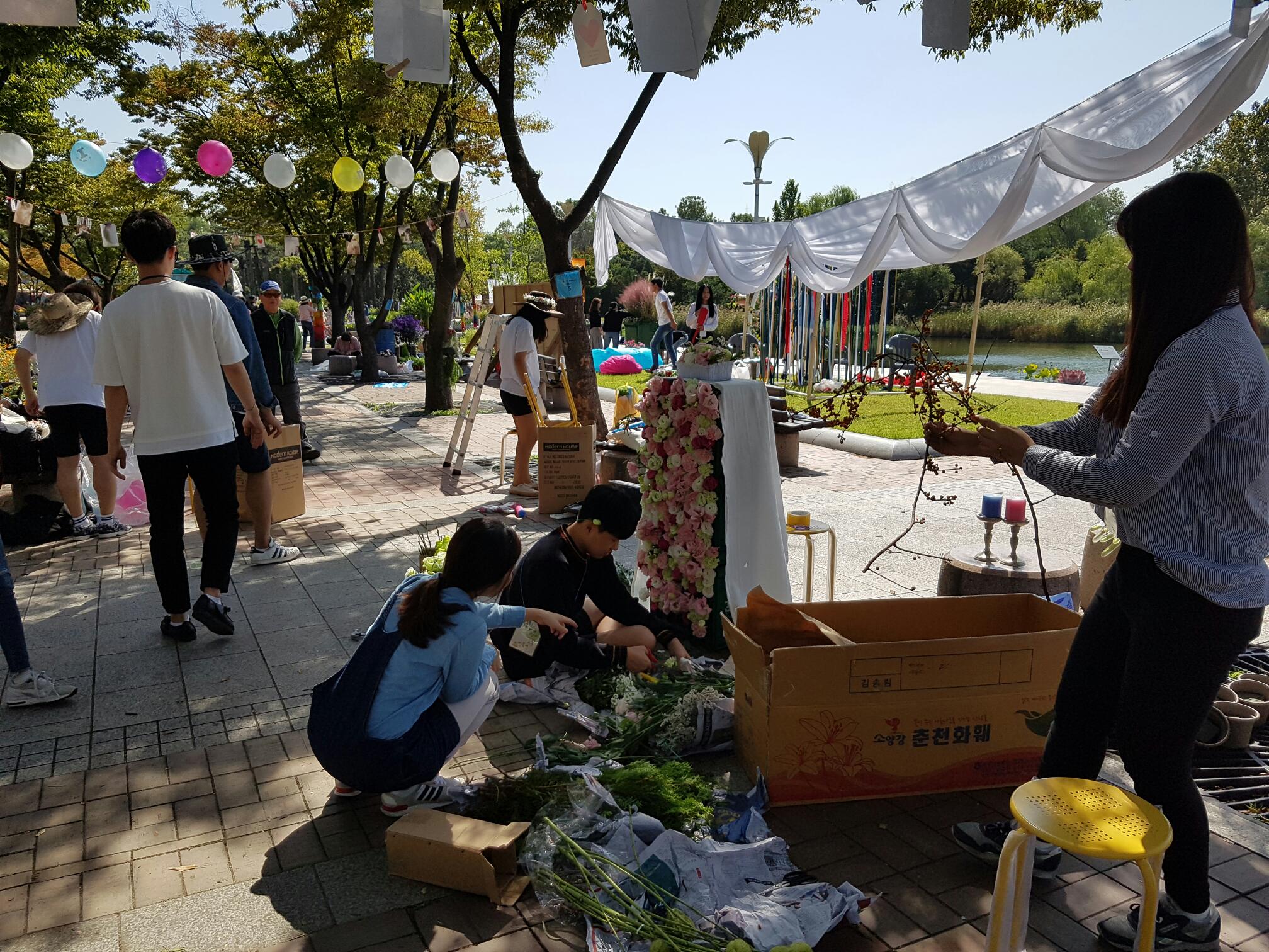 팝업