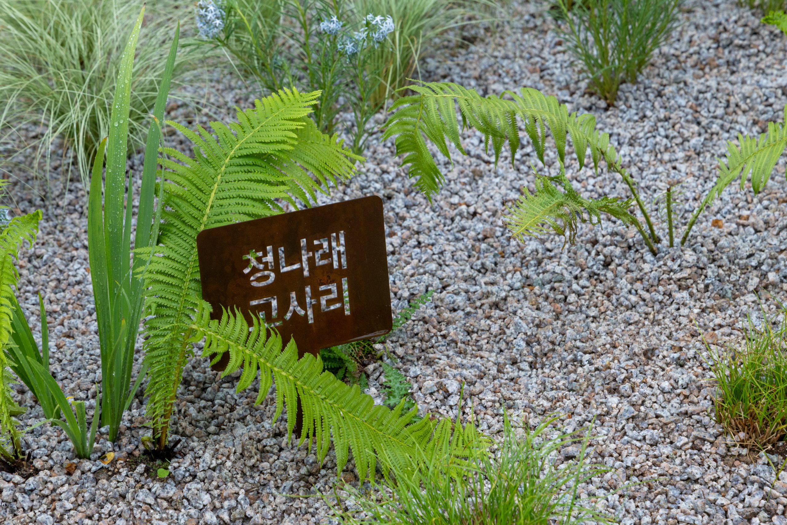 0509_BLUEO-373