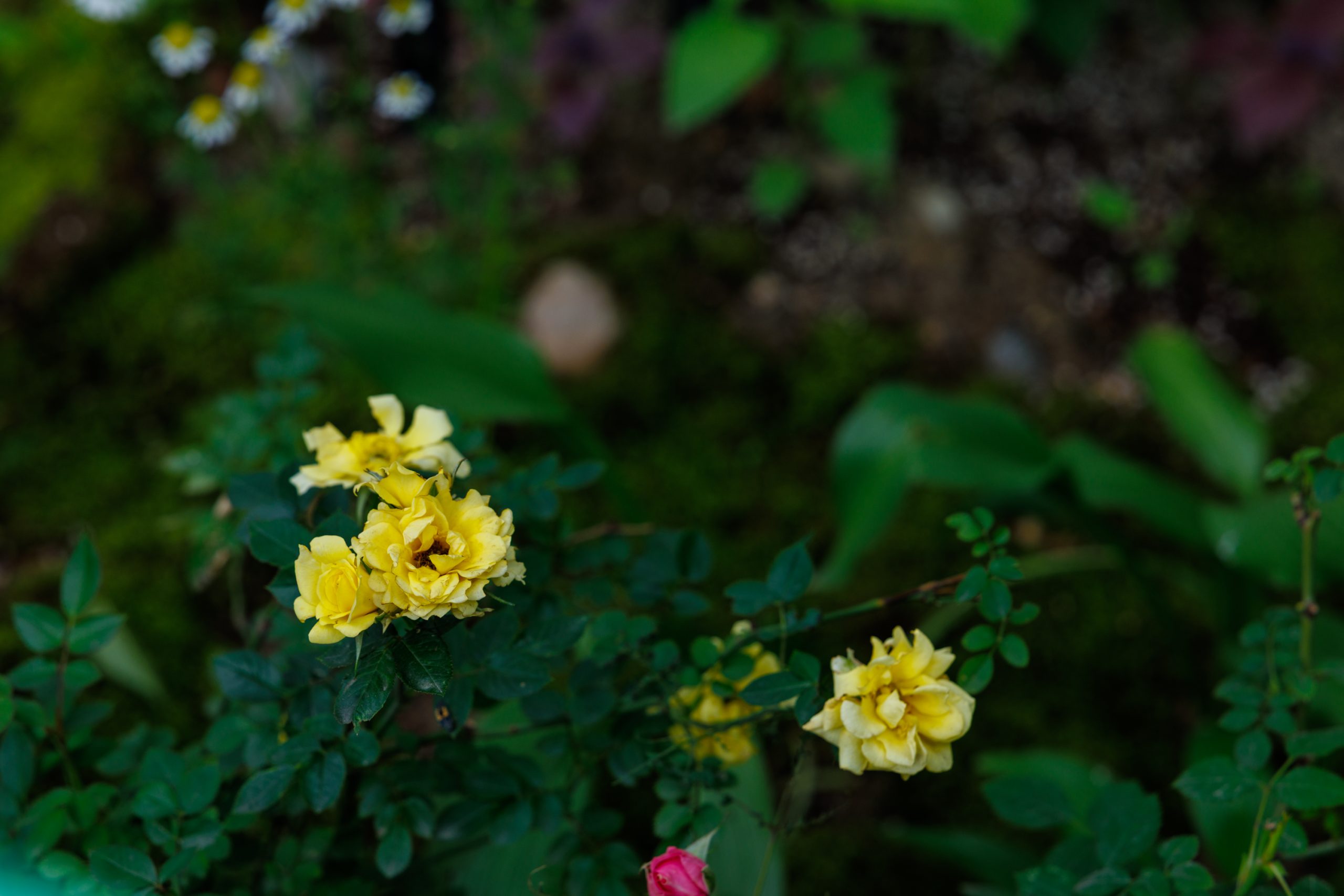 0519_BLUEO-176