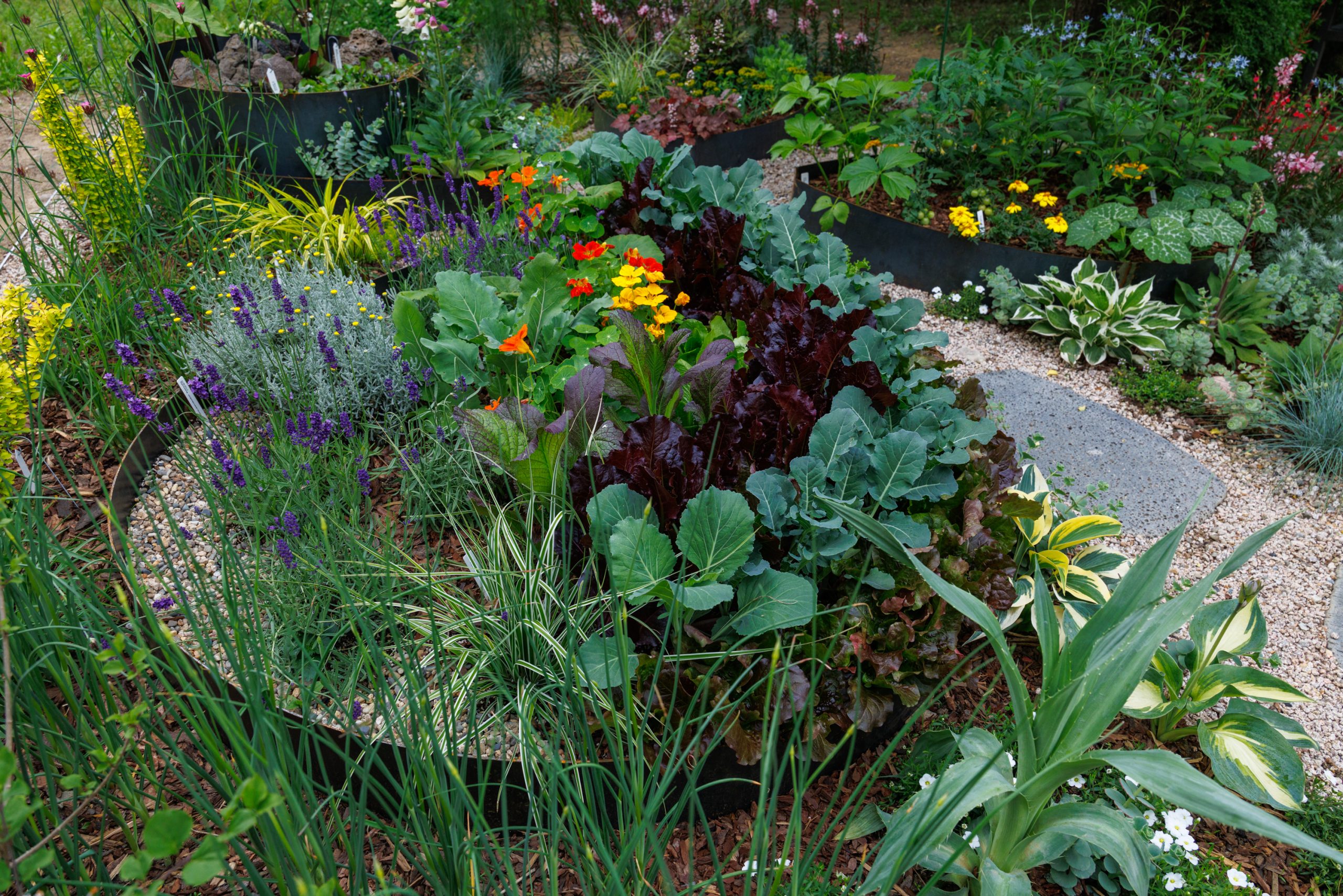 0519_BLUEO-190